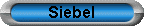 Siebel Systems