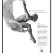 Mrercury Interactive Campaign