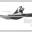 Mercury Interactive Campaign
