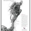 Mercury Interactive Campaign